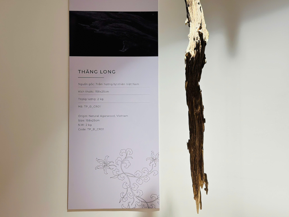 Giá trị & lợi ích nổi bật của Trầm